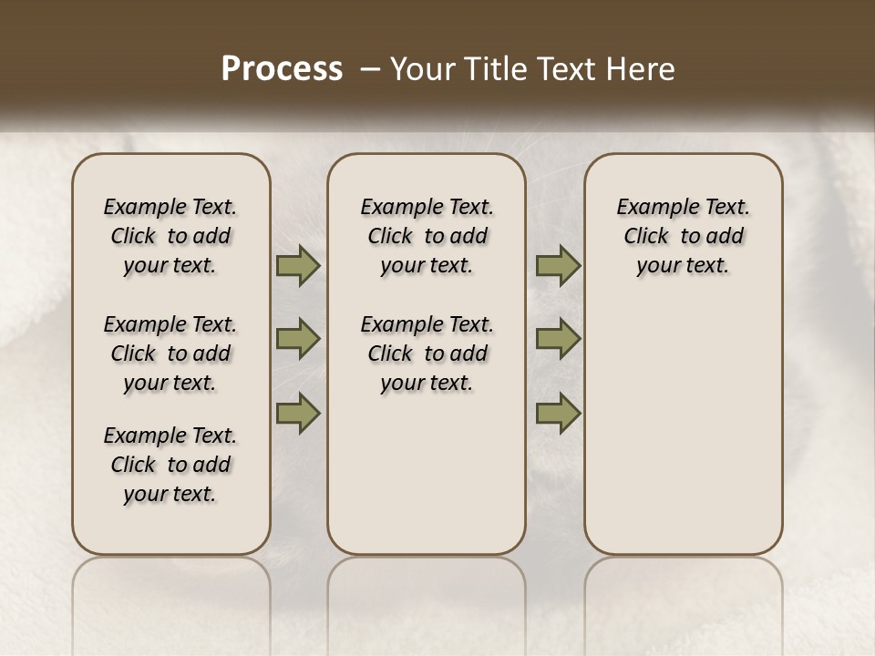 Whiskers Feline Charming PowerPoint Template