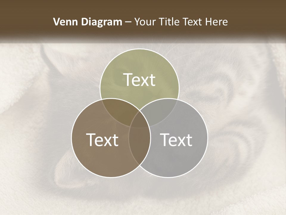 Whiskers Feline Charming PowerPoint Template