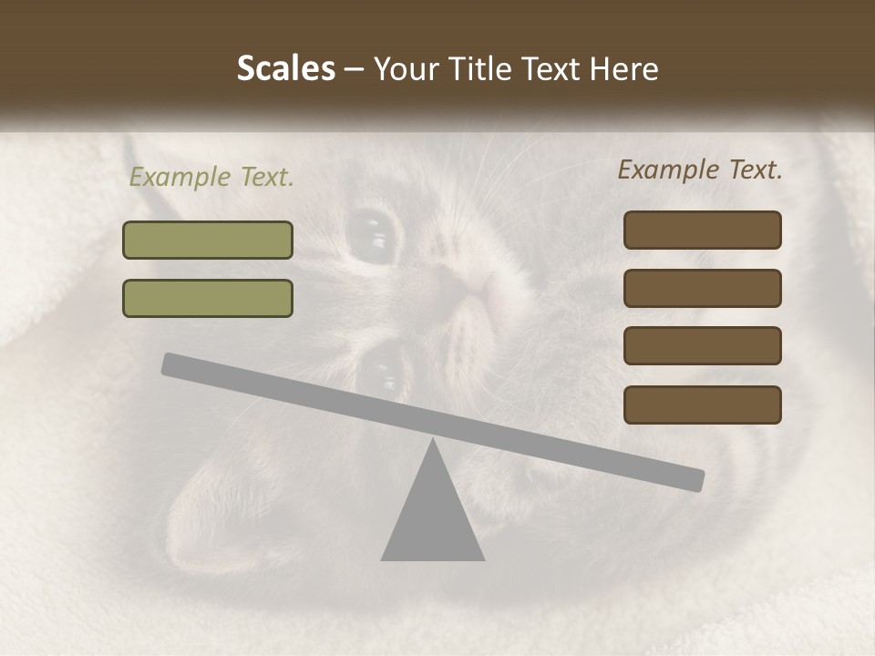 Whiskers Feline Charming PowerPoint Template