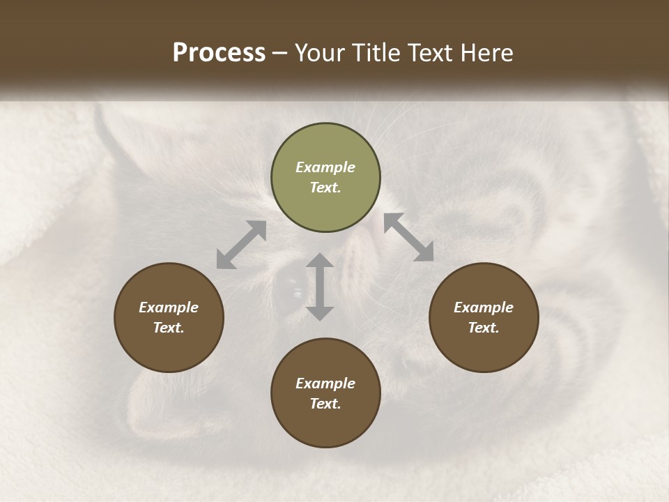 Whiskers Feline Charming PowerPoint Template