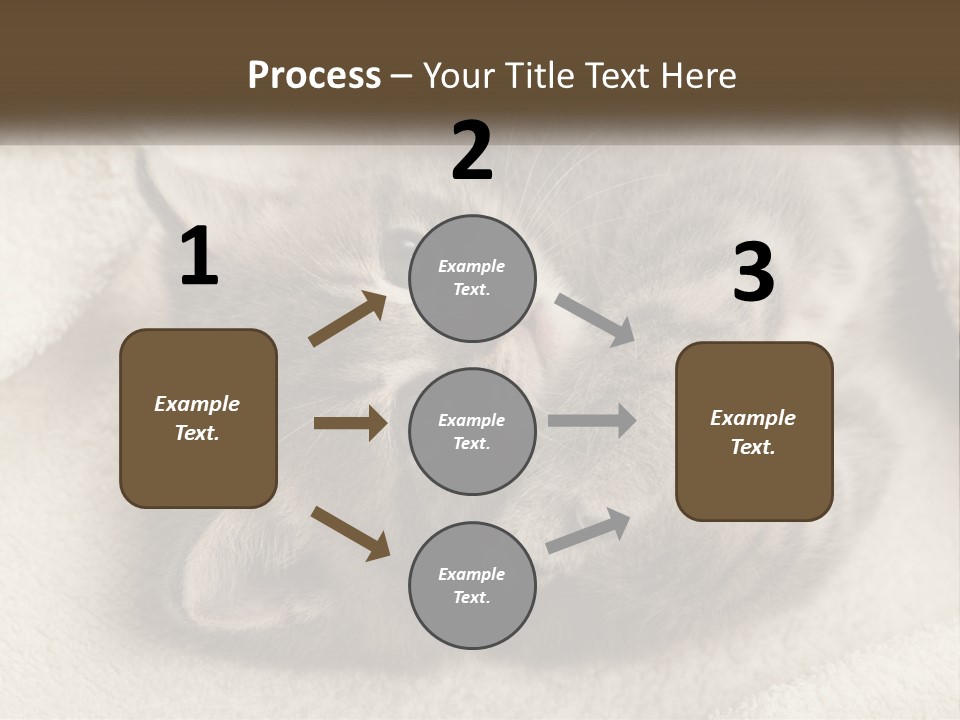 Whiskers Feline Charming PowerPoint Template