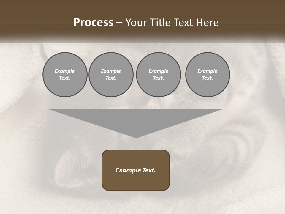 Whiskers Feline Charming PowerPoint Template