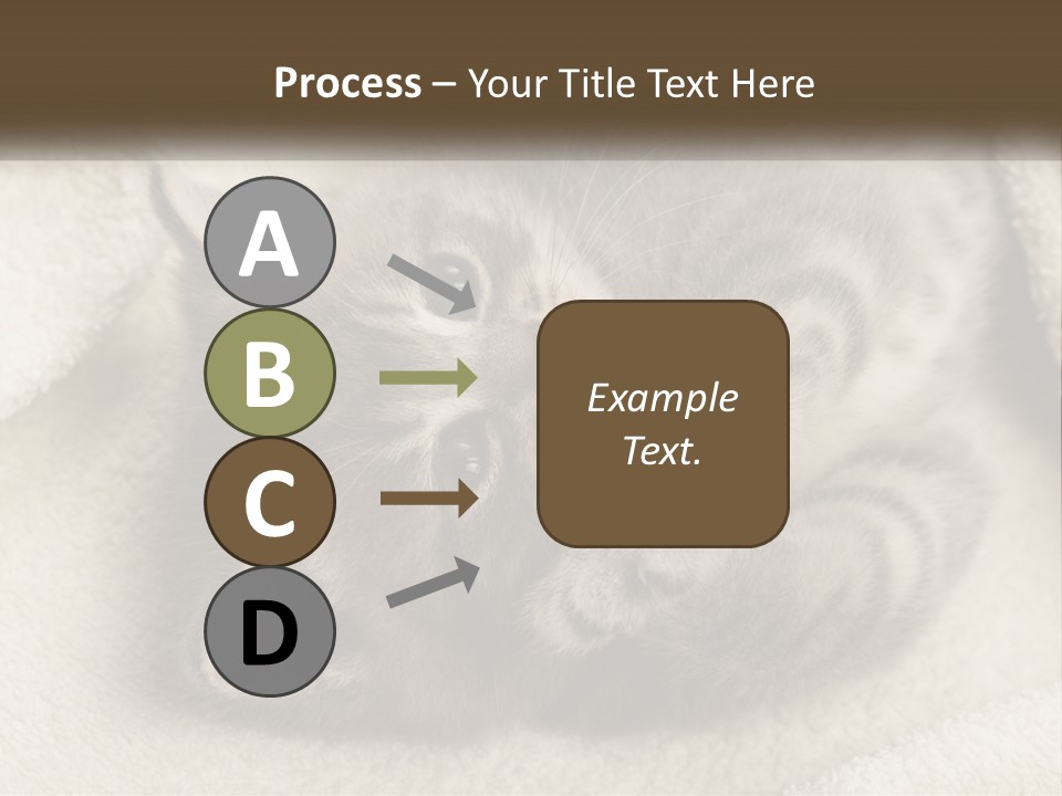 Whiskers Feline Charming PowerPoint Template