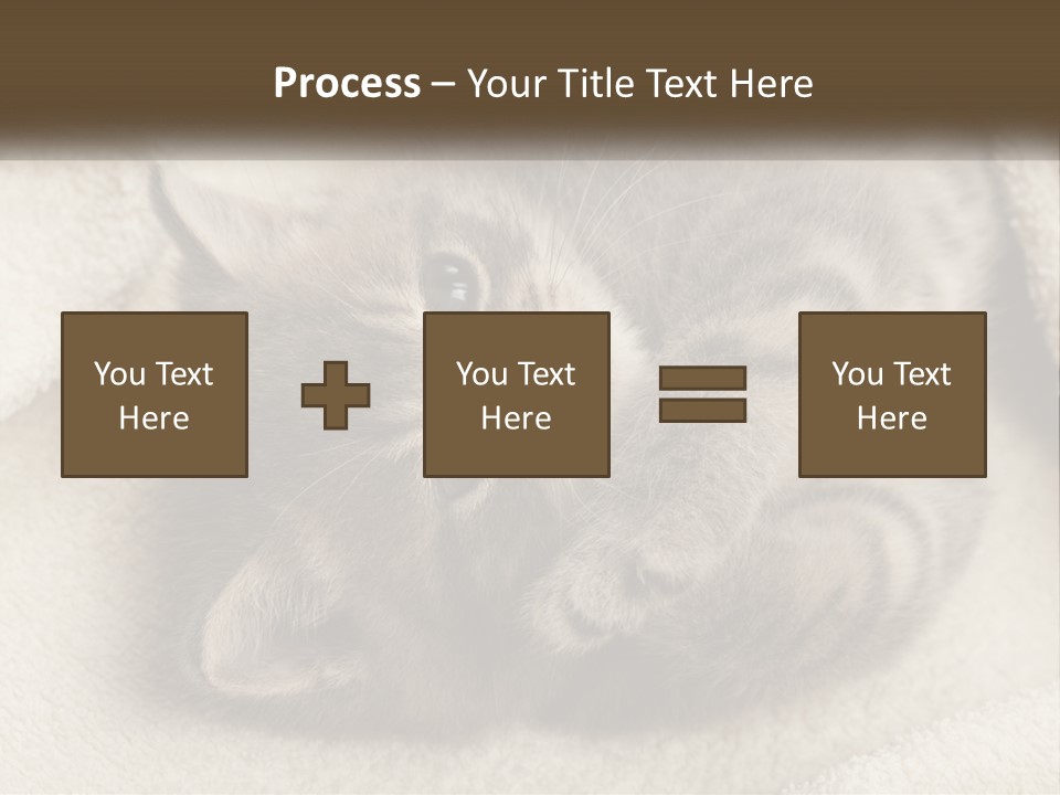 Whiskers Feline Charming PowerPoint Template