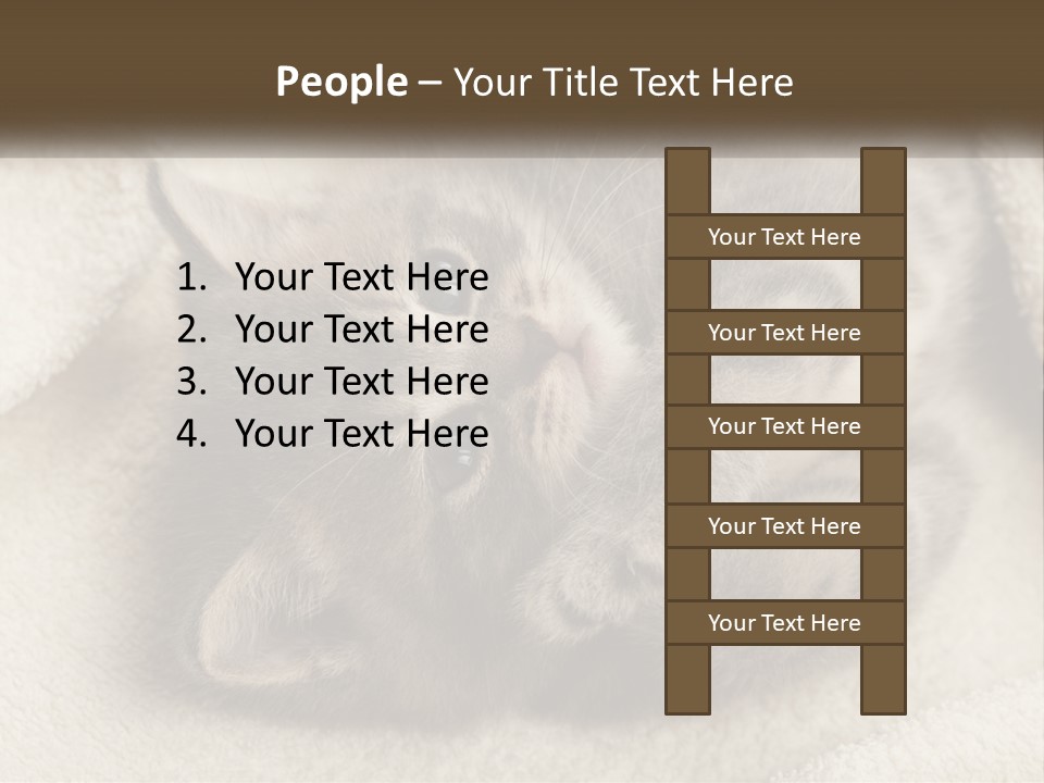 Whiskers Feline Charming PowerPoint Template