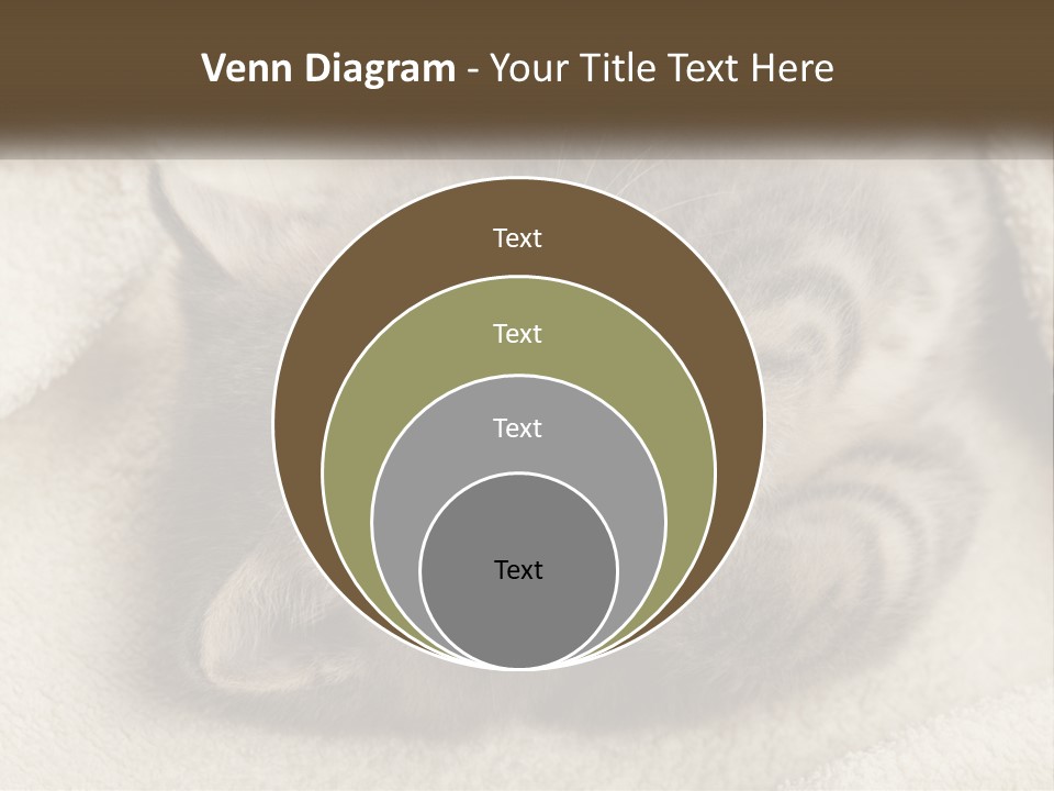 Whiskers Feline Charming PowerPoint Template