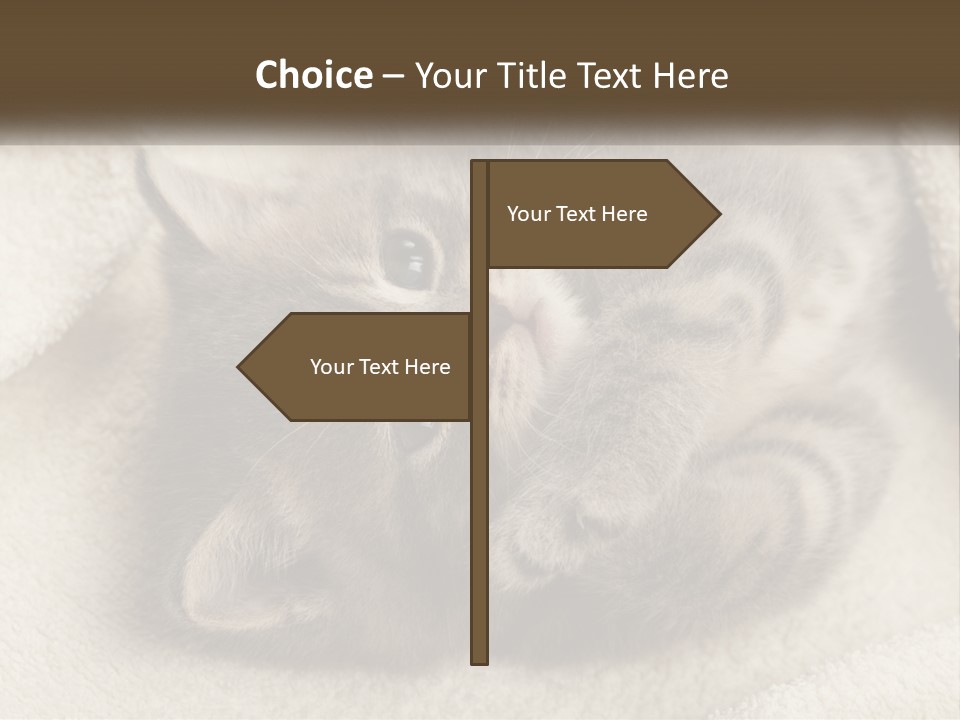 Whiskers Feline Charming PowerPoint Template