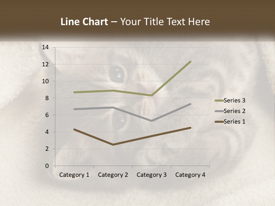Whiskers Feline Charming PowerPoint Template