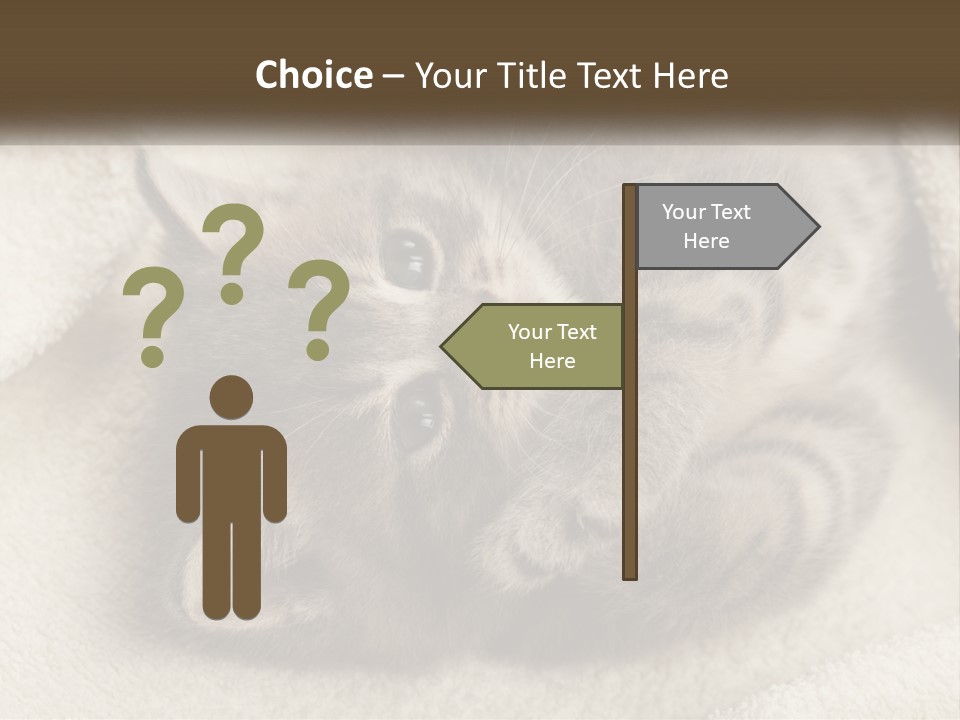 Whiskers Feline Charming PowerPoint Template