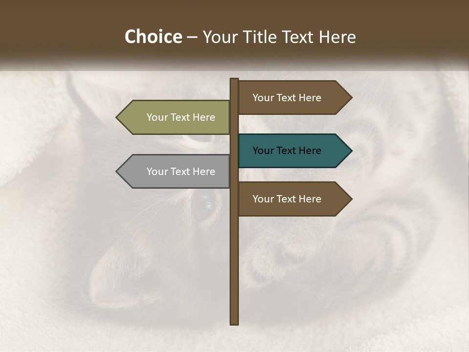 Whiskers Feline Charming PowerPoint Template