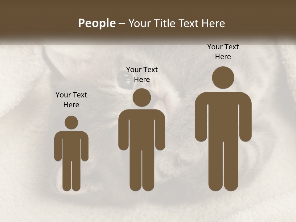 Whiskers Feline Charming PowerPoint Template