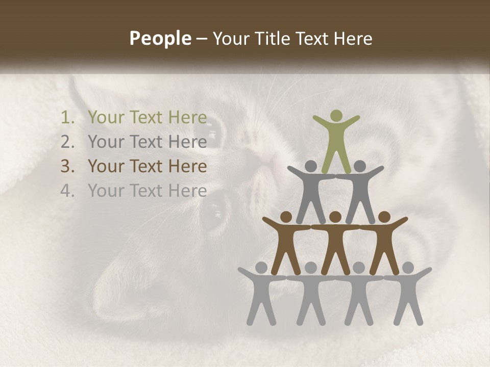 Whiskers Feline Charming PowerPoint Template