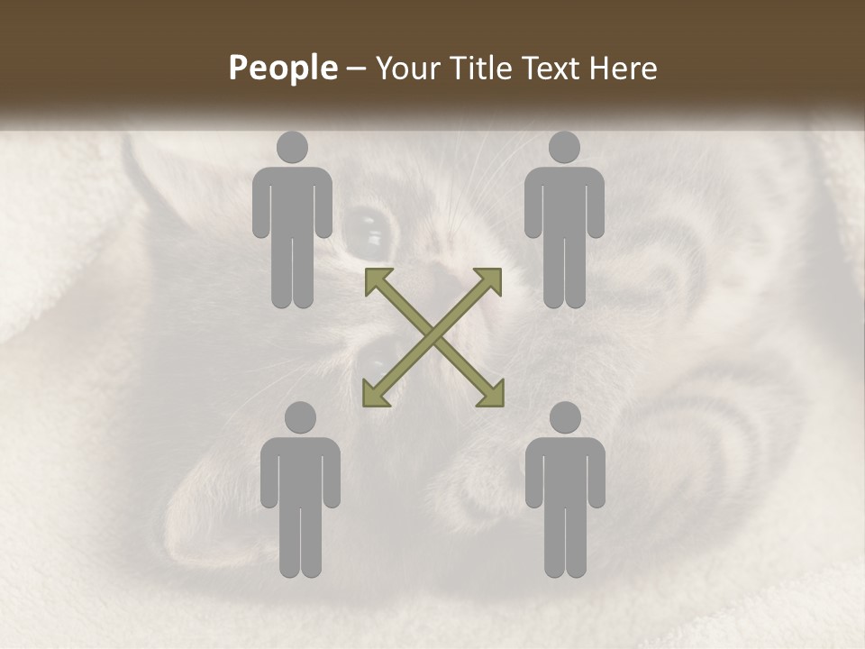 Whiskers Feline Charming PowerPoint Template