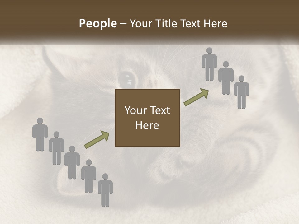 Whiskers Feline Charming PowerPoint Template