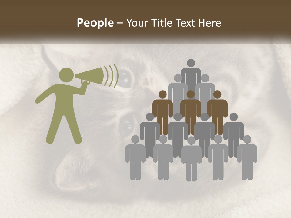 Whiskers Feline Charming PowerPoint Template