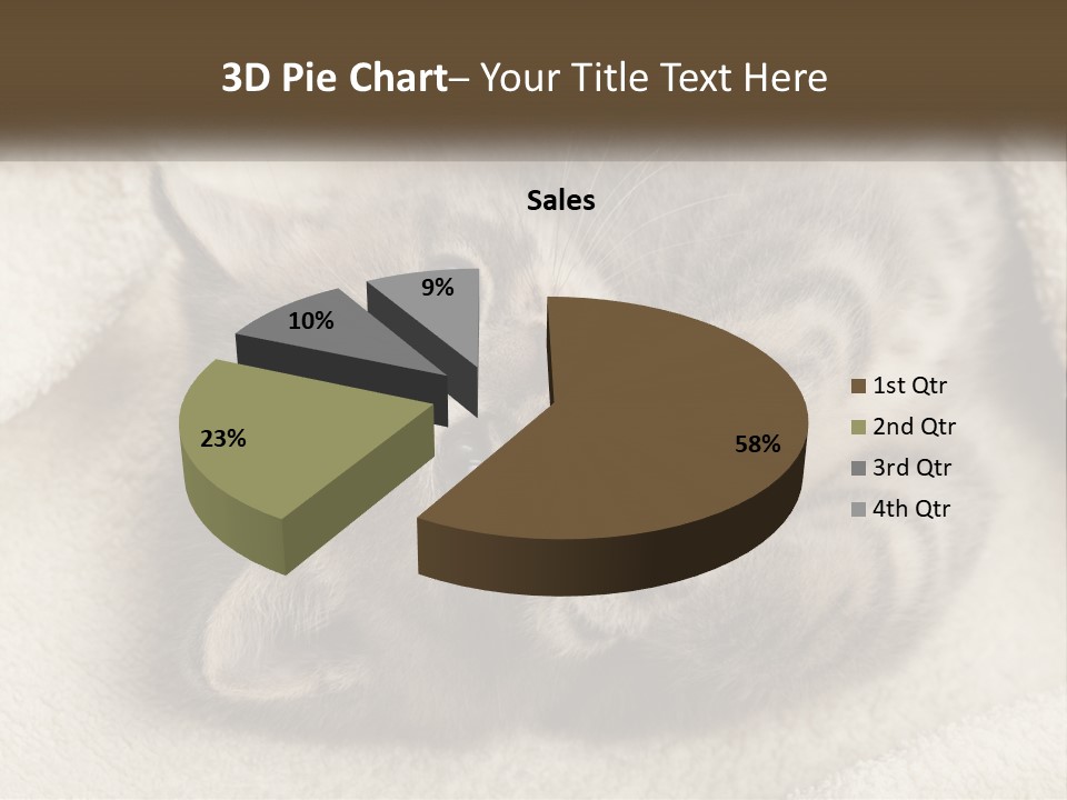 Whiskers Feline Charming PowerPoint Template