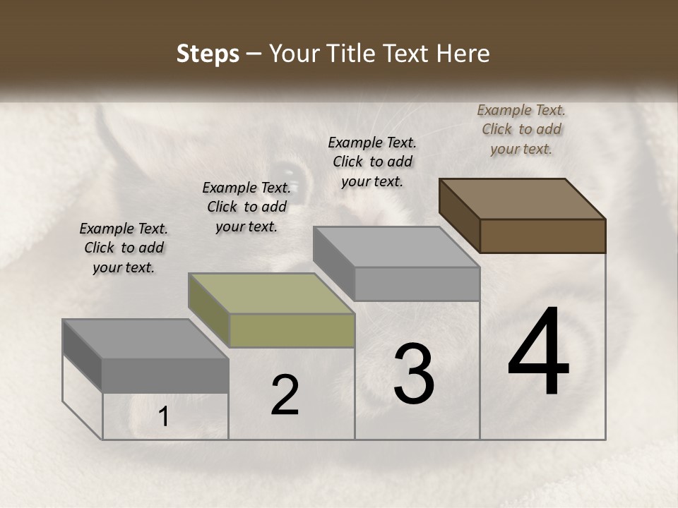 Whiskers Feline Charming PowerPoint Template
