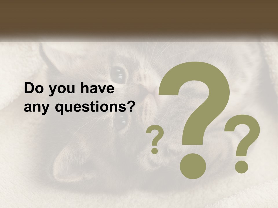 Whiskers Feline Charming PowerPoint Template