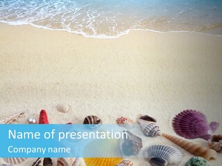 Ocean Paradise Shell PowerPoint Template
