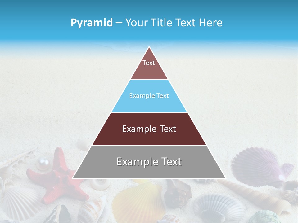 Ocean Paradise Shell PowerPoint Template