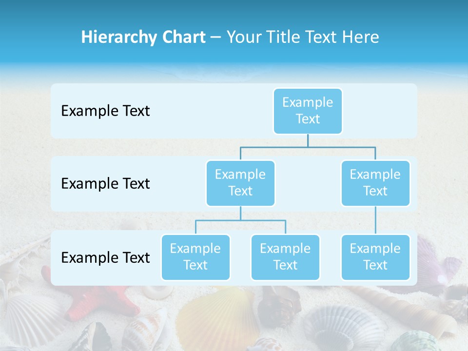 Ocean Paradise Shell PowerPoint Template