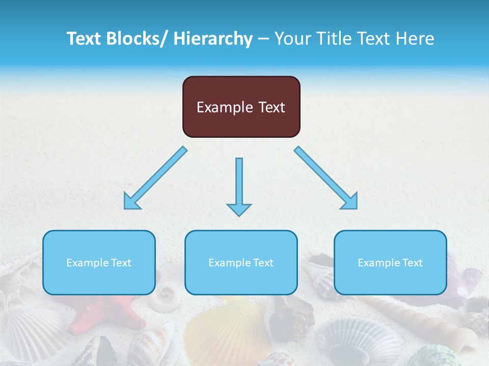 Ocean Paradise Shell PowerPoint Template