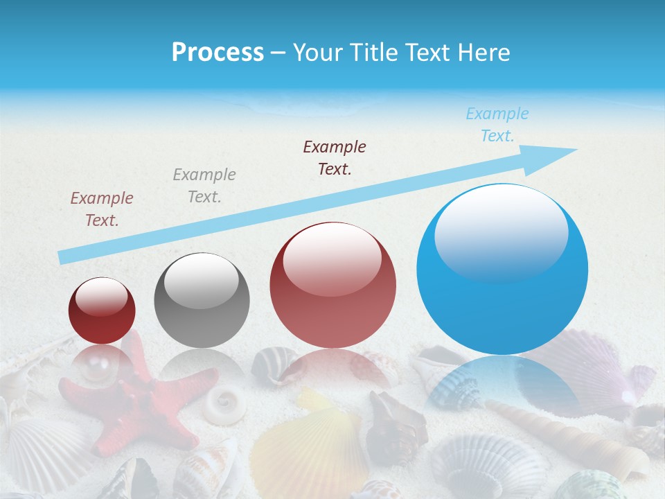 Ocean Paradise Shell PowerPoint Template