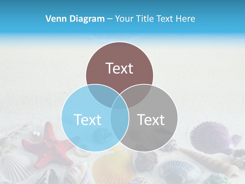 Ocean Paradise Shell PowerPoint Template