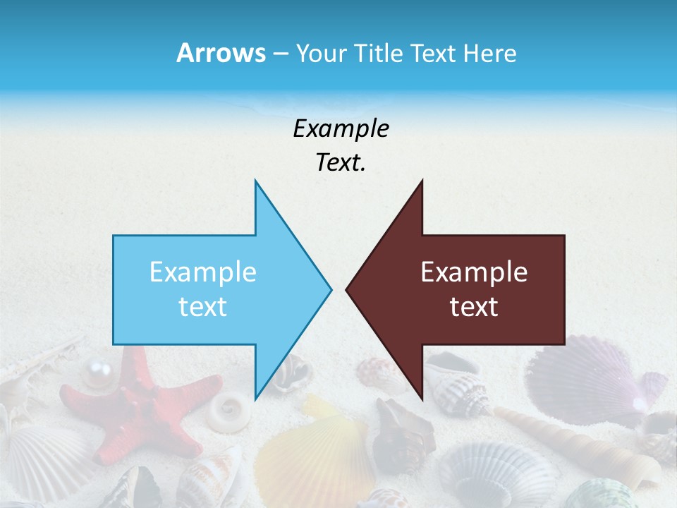 Ocean Paradise Shell PowerPoint Template