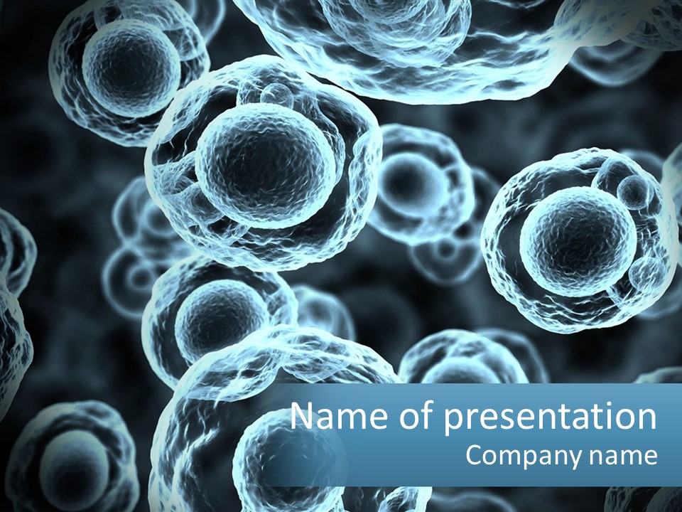 Organism Bacterium Mitosis PowerPoint Template