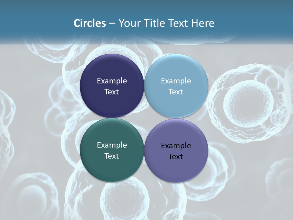 Organism Bacterium Mitosis PowerPoint Template