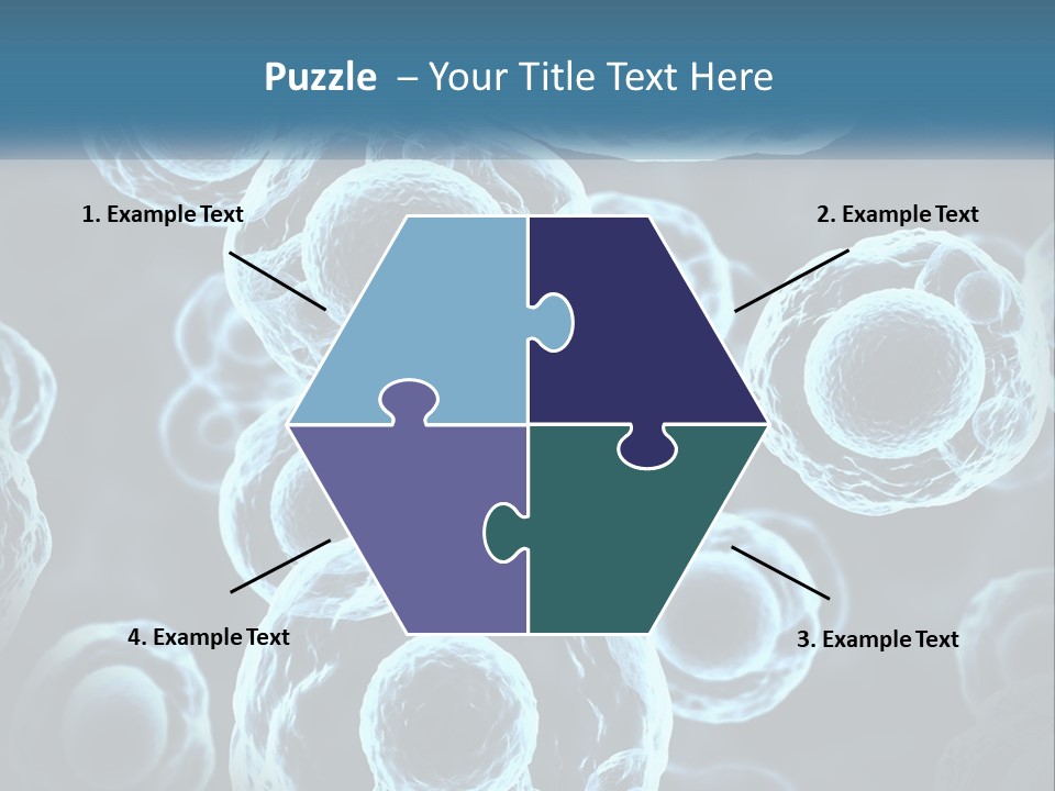 Organism Bacterium Mitosis PowerPoint Template