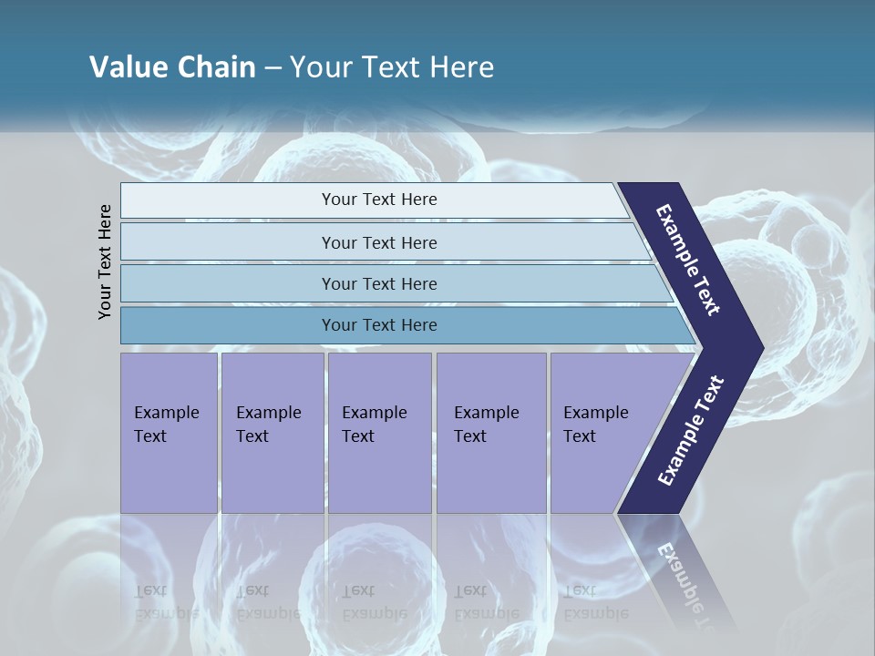Organism Bacterium Mitosis PowerPoint Template