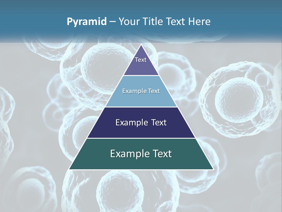 Organism Bacterium Mitosis PowerPoint Template