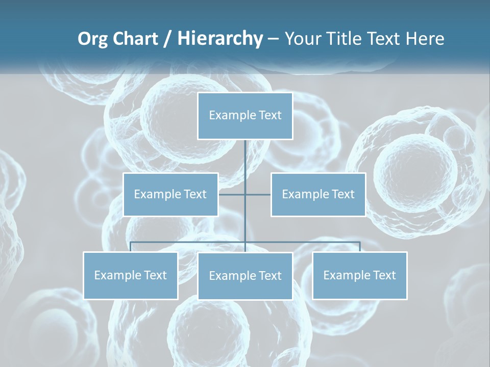 Organism Bacterium Mitosis PowerPoint Template