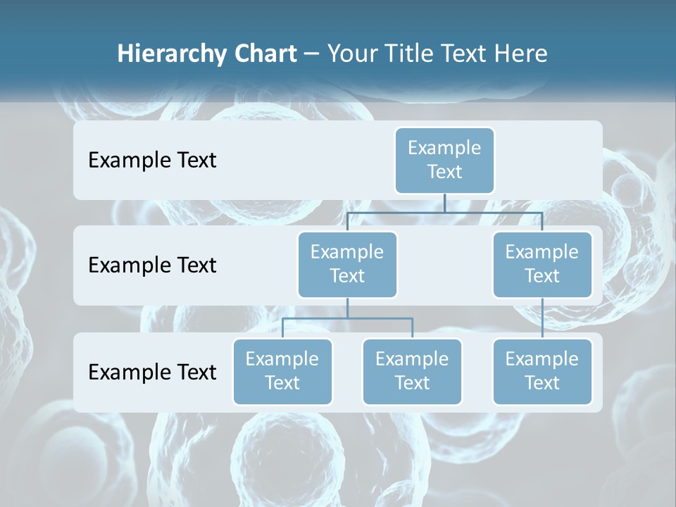 Organism Bacterium Mitosis PowerPoint Template