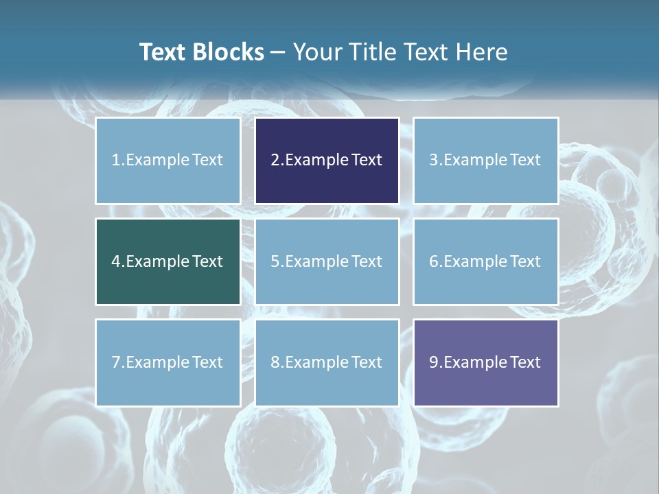 Organism Bacterium Mitosis PowerPoint Template