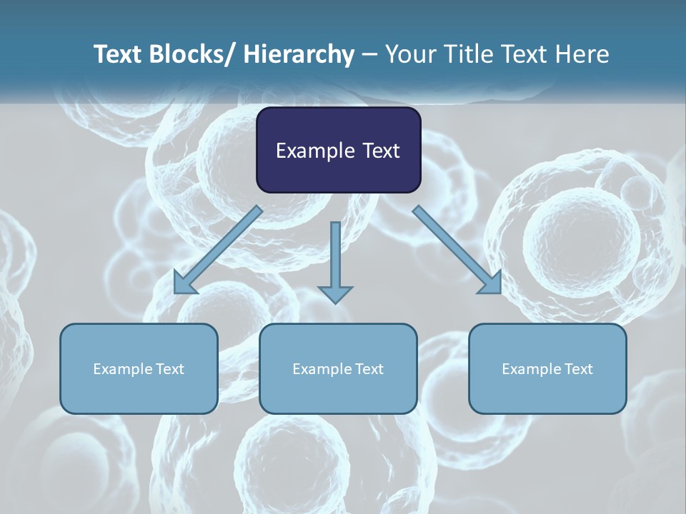Organism Bacterium Mitosis PowerPoint Template