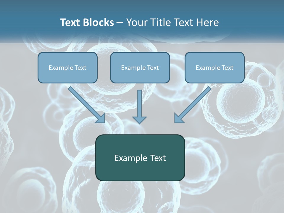 Organism Bacterium Mitosis PowerPoint Template