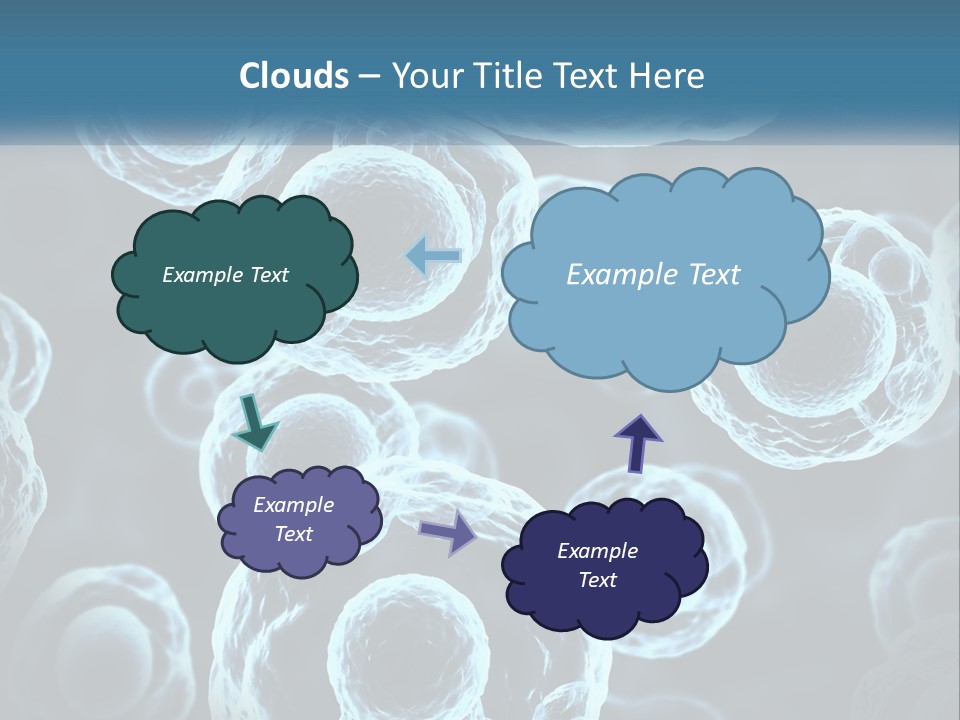 Organism Bacterium Mitosis PowerPoint Template