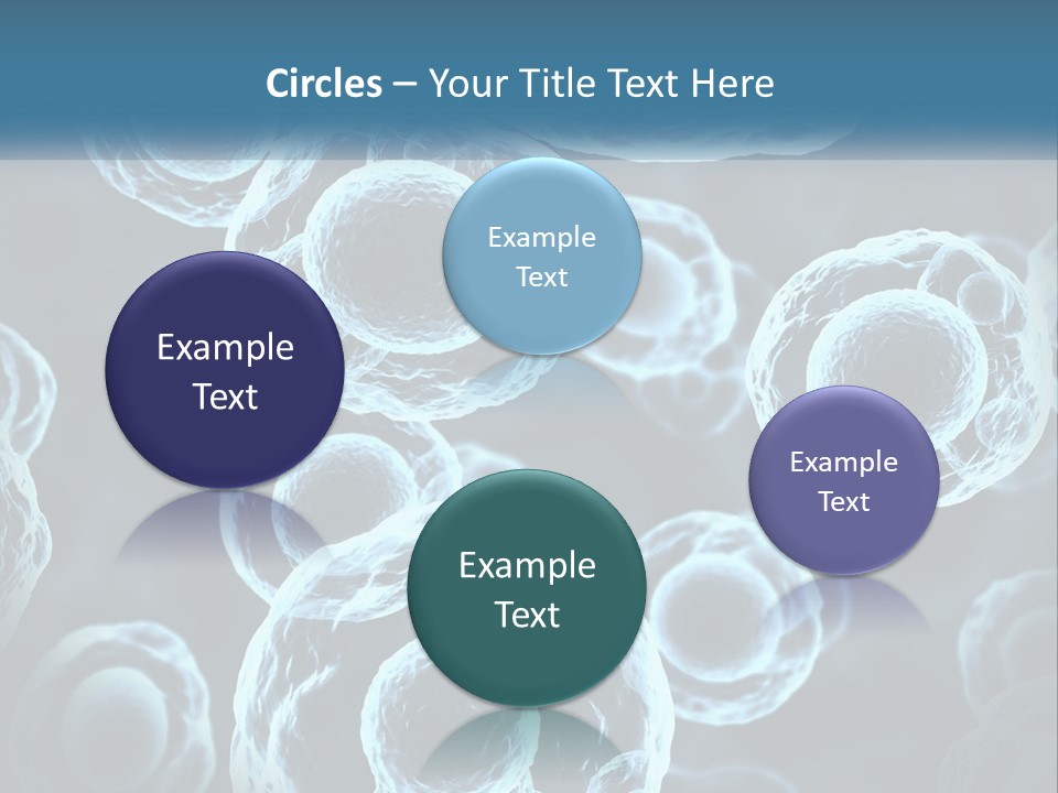 Organism Bacterium Mitosis PowerPoint Template