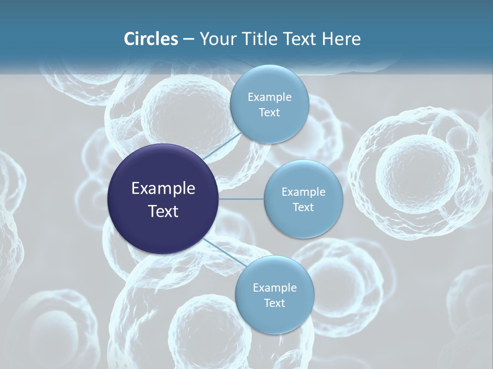 Organism Bacterium Mitosis PowerPoint Template