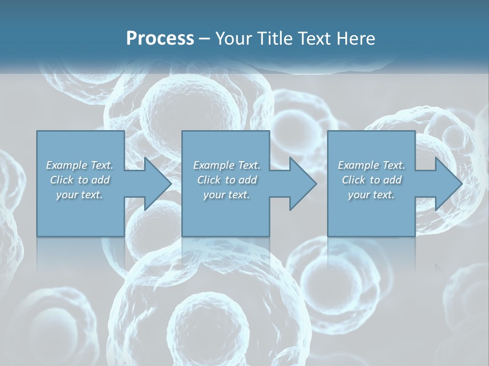 Organism Bacterium Mitosis PowerPoint Template