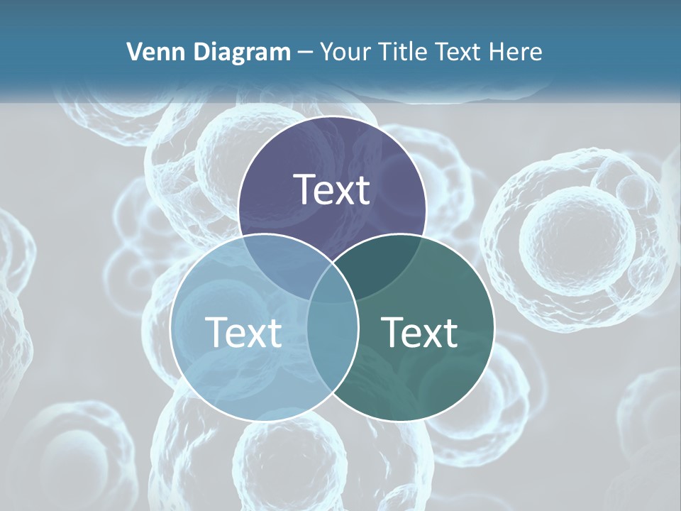 Organism Bacterium Mitosis PowerPoint Template