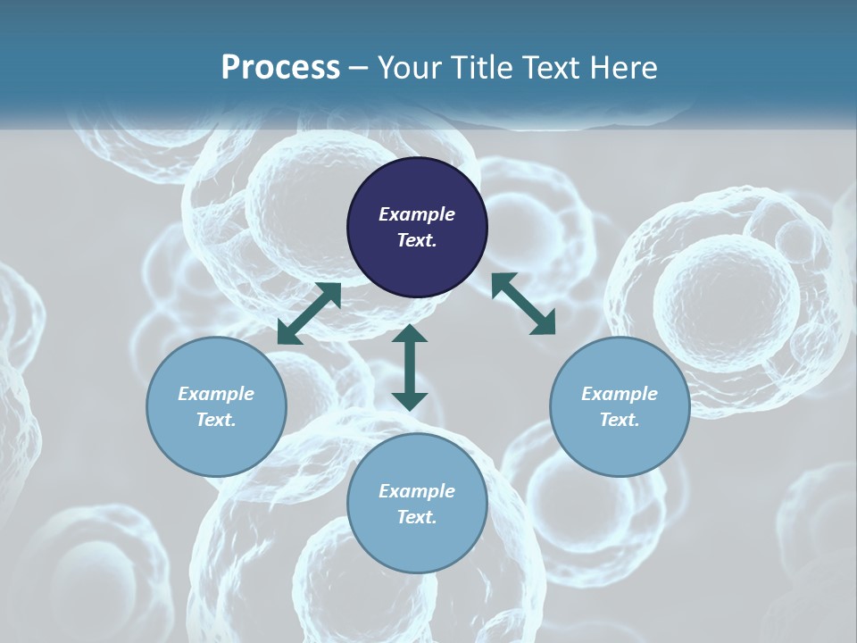 Organism Bacterium Mitosis PowerPoint Template