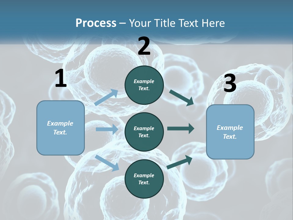 Organism Bacterium Mitosis PowerPoint Template