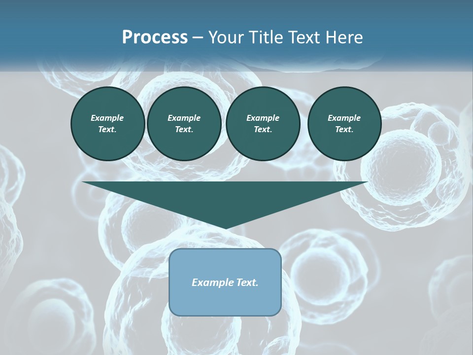 Organism Bacterium Mitosis PowerPoint Template