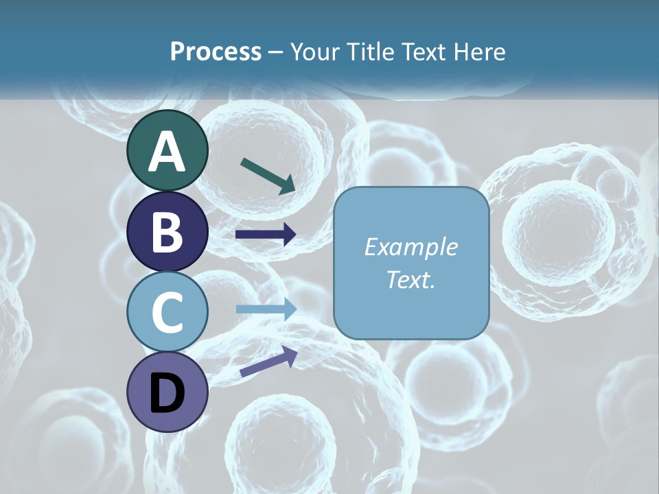Organism Bacterium Mitosis PowerPoint Template
