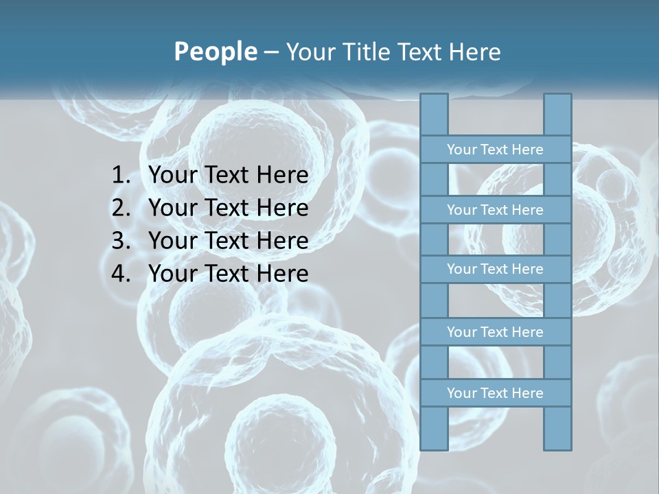 Organism Bacterium Mitosis PowerPoint Template