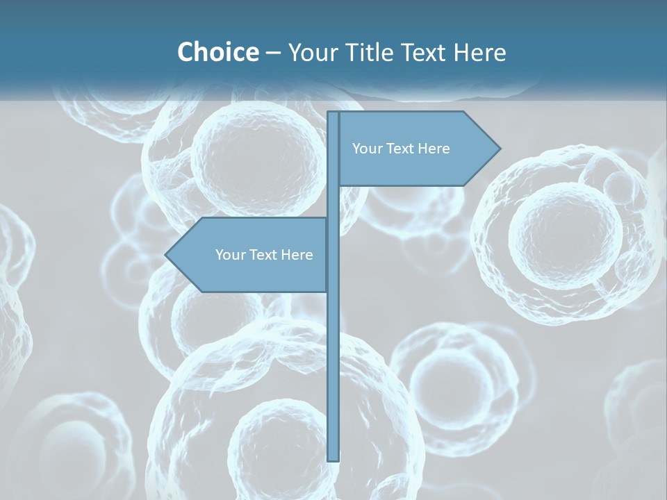 Organism Bacterium Mitosis PowerPoint Template